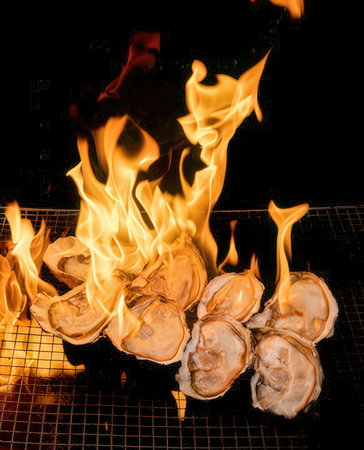 Fresh oysters on a barbecue grill with flames and black background.の写真素材