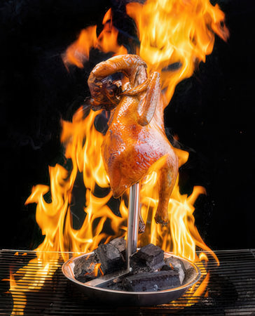 Flaming chicken on a black background.