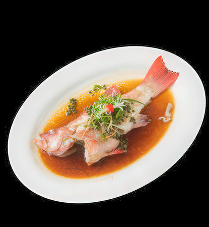 Delicious red snapper in soy sauce isolated on black background.
