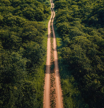 drone image. aerial view of rural area with fields and forests in sunny summer day. latvia