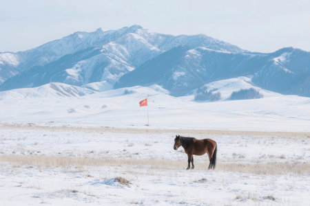 Horse in the prairie with snow capped mountains in the backgroundの素材