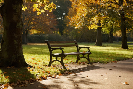 Bench in the park with autumn leaves on the ground and trees in the backgroundの素材
