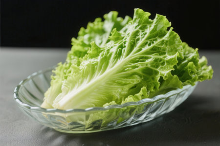 Lettuce in a glass bowl on a black background. Close-up.の素材