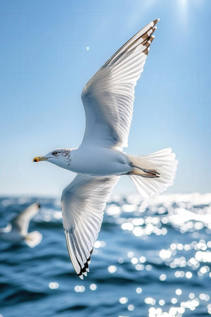 Seagull flying in the blue sky over the sea waters.の素材