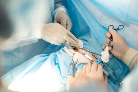 Close-ups of doctor's hands in medical gloves during surgery.