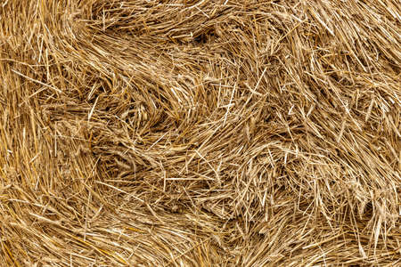 The elements and components of agricultural Background of haystack close upの写真素材