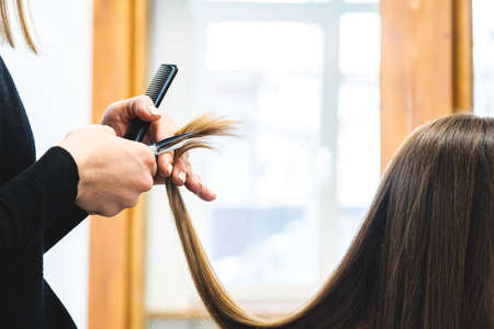 The master hairdresser cuts the ends of the girls hair after washing in the beauty salon close upの写真素材