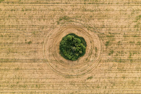 Fly over the field after harvest. An even circle of untouched vegetation in the middle of a cultivated field. Geometry and shapes in nature.の写真素材