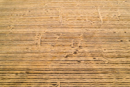 View from above field after harvest. Incredible landscapes and textures. The dug-up strips left by...