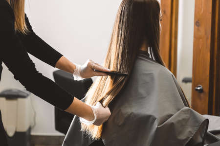 Master hairdresser combs the girls hair after washing and before styling in a beauty salon.の写真素材