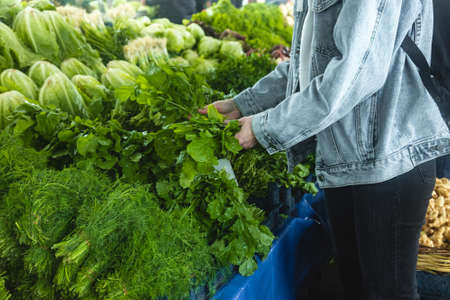 Buying fresh organic produce at the farmers market. A woman chooses fresh herbs, vegetables and...