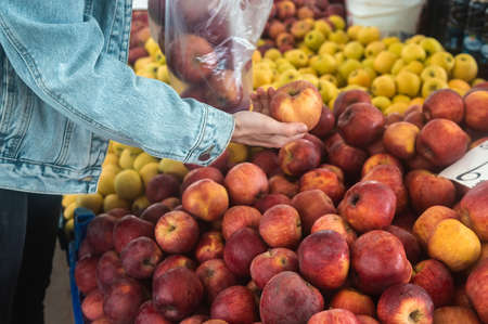 Buying fresh organic produce at the farmers market. A woman chooses fresh herbs, vegetables and...