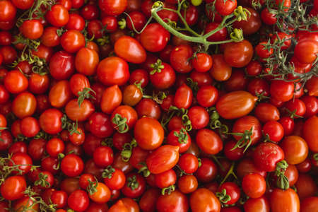Buying organic food at the farmers market. Fresh tomatoes are sold on the counterの写真素材