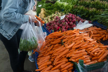 Buying fresh organic produce at the farmers market. A woman chooses fresh herbs, vegetables and fruits at a food fair.の写真素材