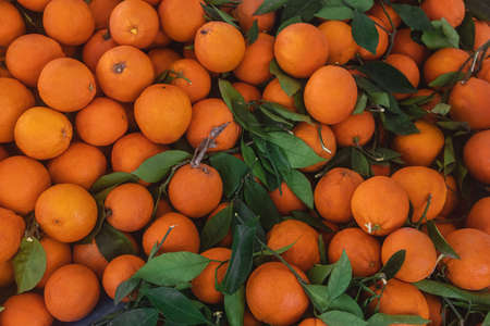 Buying fresh organic produce at the farmers market.の写真素材
