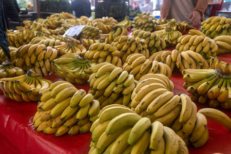 Buying fresh organic produce at the farmers market. Fresh bananas on the counterの写真素材