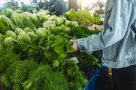 Buying fresh organic produce at the farmers market. A woman chooses fresh herbs, vegetables and fruits at a food fair.の写真素材
