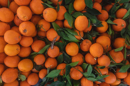 Buying fresh organic produce at the farmers market.の写真素材