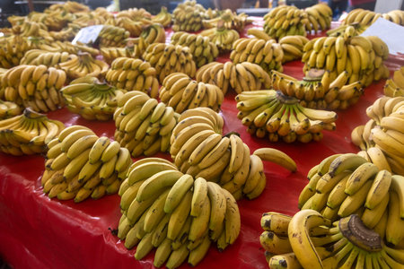 Buying fresh organic produce at the farmers market. Fresh bananas on the counterの写真素材