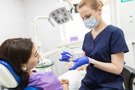 Dentistry concept. Professional dental services and modern equipment without pain. The doctor demonstrates to the patient how to properly brush the teethの写真素材