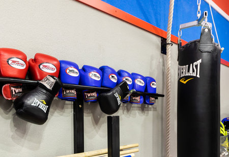 Ufa. Russia March 5, 2020: Boxing gloves and punching bag in the gymのeditorial素材