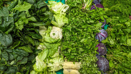 Fresh herbs and vegetables on the supermarket counterの写真素材