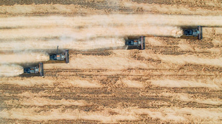 Drone aerial footage of harvesters gathering grain crops from agricultural fieldsの写真素材