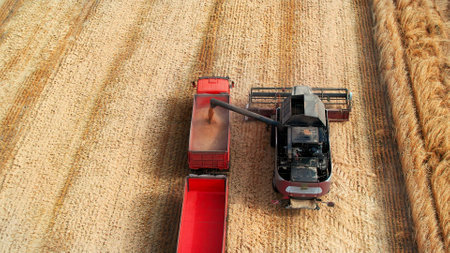 Drone aerial footage of harvesters gathering grain crops from agricultural fields