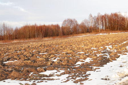 A plowed spring field at the edge of a bare forest. The beginning of the season of field work. Agro-industrial farm business. Snow melts on the ground. Warming and changing seasons. Farewell winterの写真素材