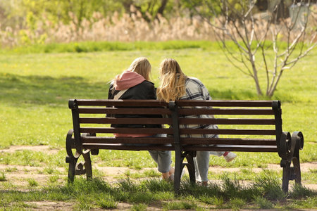 Two girls are sitting on a bench in the park in the summer. Outdoor recreation far from the bustle of the city. Stylish women chatting in a relaxed environment among green spacesの写真素材
