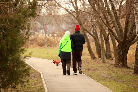 A man and a woman walk arm in arm along an alley of an autumn park, walking their four-legged friend, a dog. Relaxing in a family circle in the fresh air away from the bustle of the cityの写真素材