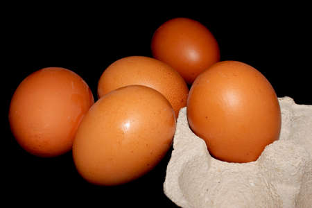 brown chicken eggs in a egg cupの写真素材