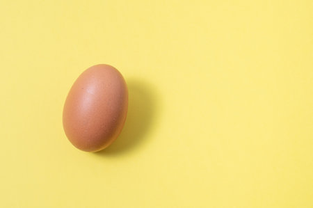 Egg isolated on yellow background. Image with copy spaceの写真素材
