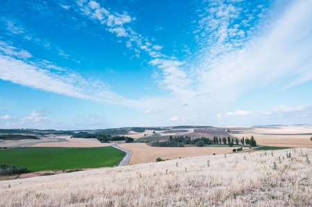 Rural landscape with crop fields. Sky with clouds. Image with copy space.の写真素材