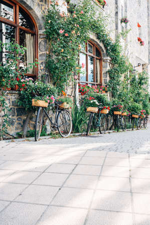 Bicycles in the street with flowers. Vertical shot of a facade with bicyclesの写真素材