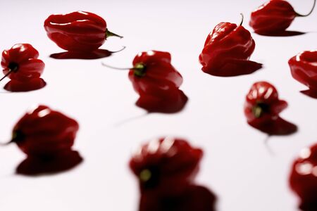 chili pepper illuminated with shadows on white background