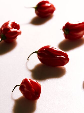 chili pepper illuminated with shadows on white backgroundの写真素材