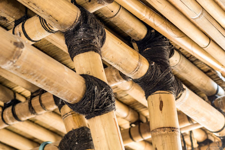 Bamboo building elements with coconut fiber rope connectionsの写真素材