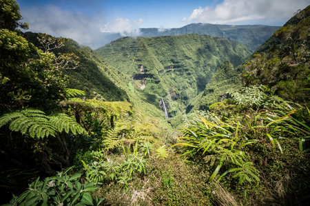 Valley with waterfall on the tropical Reunion Island in the Indian Oceanの写真素材
