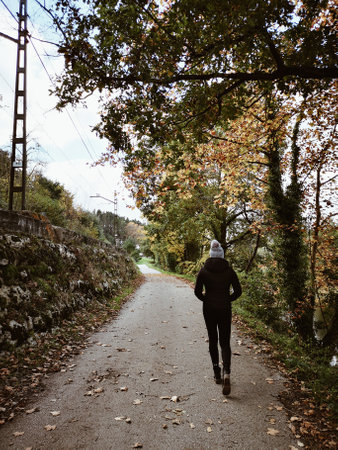 Autumn Pathの写真素材