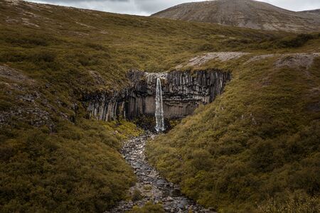 Wide view of svartifoss, a waterfall on a geometrical rock wall made of basalt in Skaftafell National Park, in south-eastern Iceland. the waterfall is surrounded by vegetationの写真素材