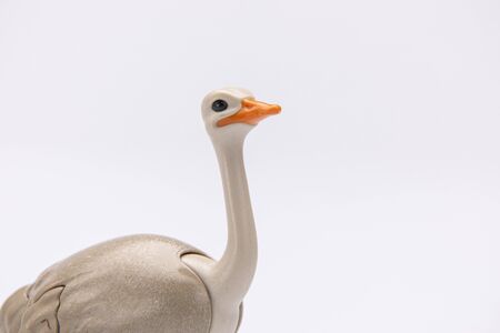 close up of an ostrich head from a plastic toy isolated on a white backgroundの写真素材