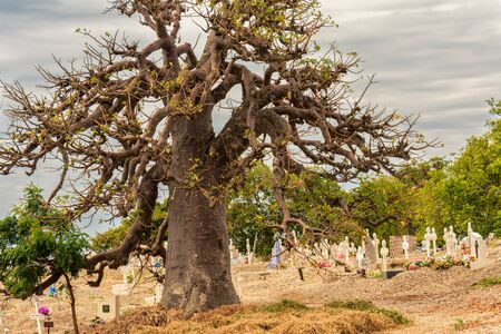 The Cemetery Watcherの写真素材