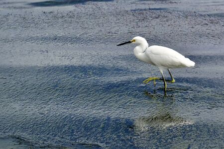 Corners and locations of Caye Caulker, in the Caribbean of Belizeの写真素材