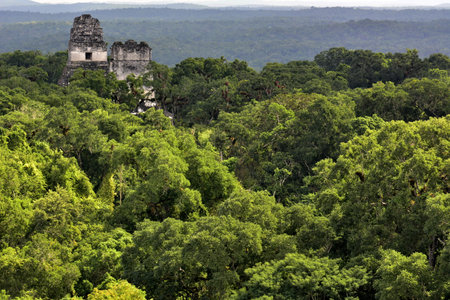 Landscapes and corners of the Mayan archaeological city of Tikal, located in the PetÃ©n region, in northern Guatemalaの写真素材