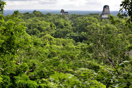 Landscapes and corners of the Mayan archaeological city of Tikal, located in the PetÃ©n region, in northern Guatemalaの写真素材