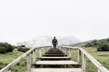 Rear view of young hiker man walking up wooden stairs going up the mountains