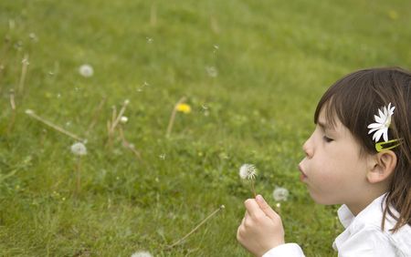 young girl blowing a dandelionの写真素材