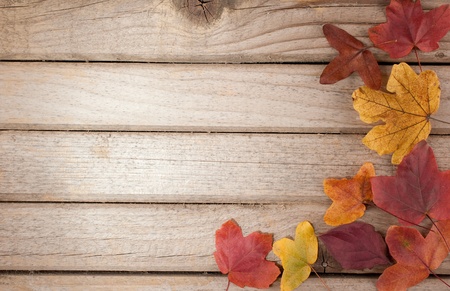 Wood background with autumn leavesの写真素材