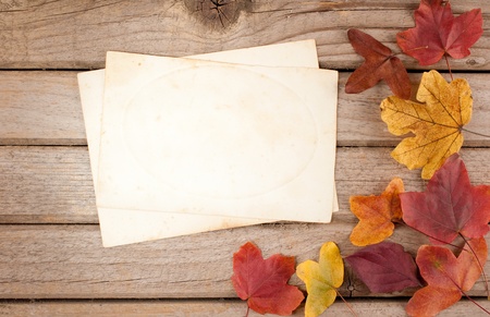 wood background with autumn leaves and old paperの写真素材